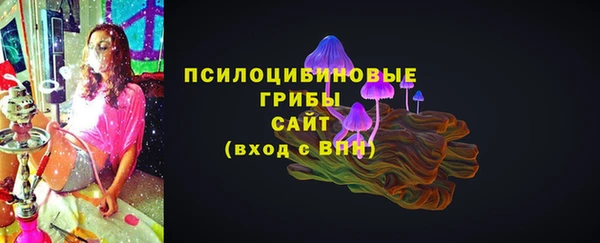 хмурый Карпинск