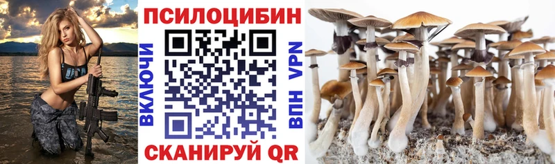 маркетплейс состав  hydra tor  Красноуфимск  Псилоцибиновые грибы Cubensis 
